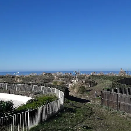 Vue Ocean Et Piscine * Lacanau
